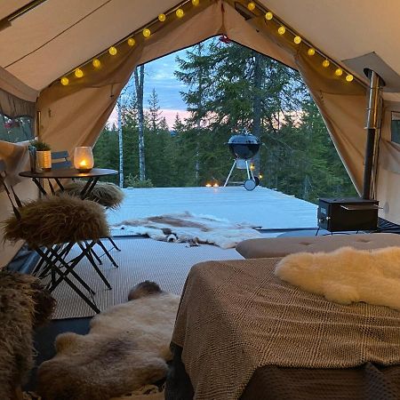 Glamping Tent With Amazing View In The Forest تورسبي المظهر الخارجي الصورة