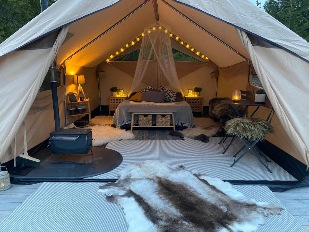 Glamping Tent With Amazing View In The Forest تورسبي المظهر الخارجي الصورة