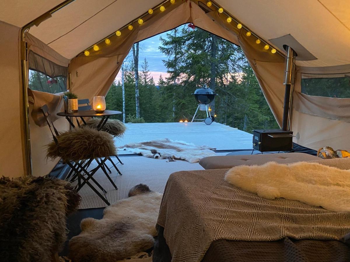 Glamping Tent With Amazing View In The Forest تورسبي المظهر الخارجي الصورة