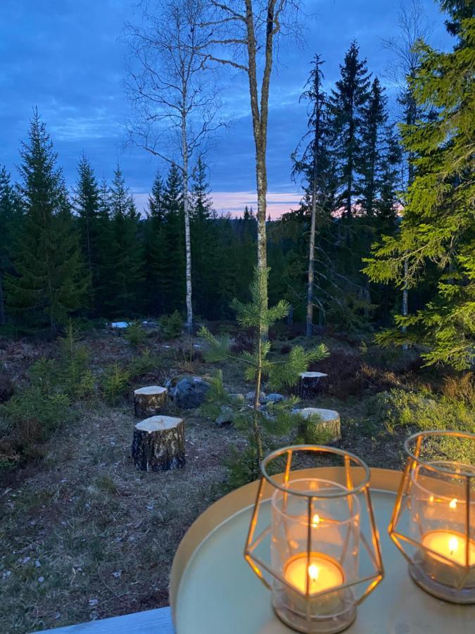 Glamping Tent With Amazing View In The Forest تورسبي المظهر الخارجي الصورة
