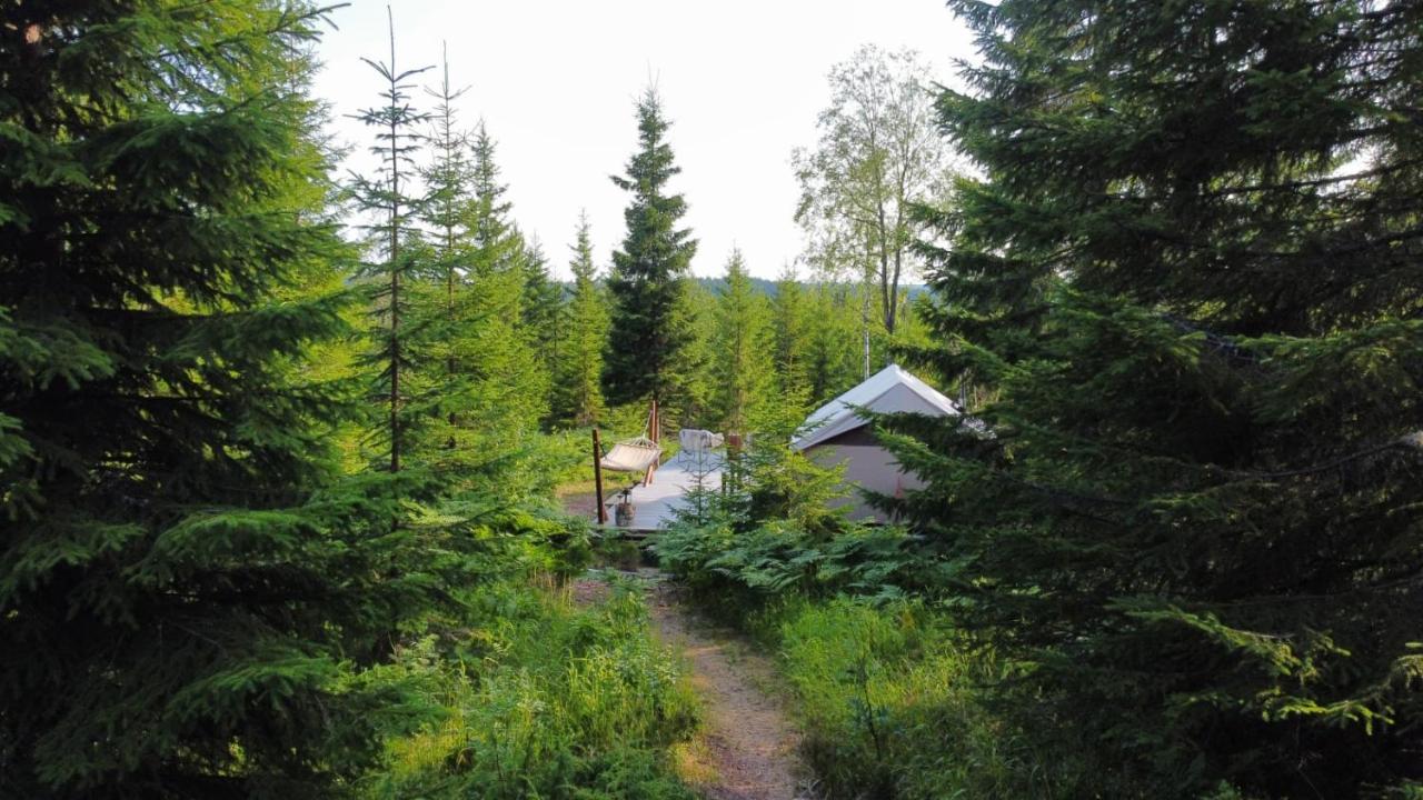 Glamping Tent With Amazing View In The Forest تورسبي المظهر الخارجي الصورة