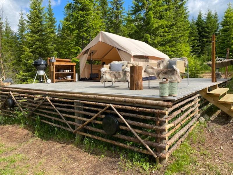Glamping Tent With Amazing View In The Forest تورسبي المظهر الخارجي الصورة