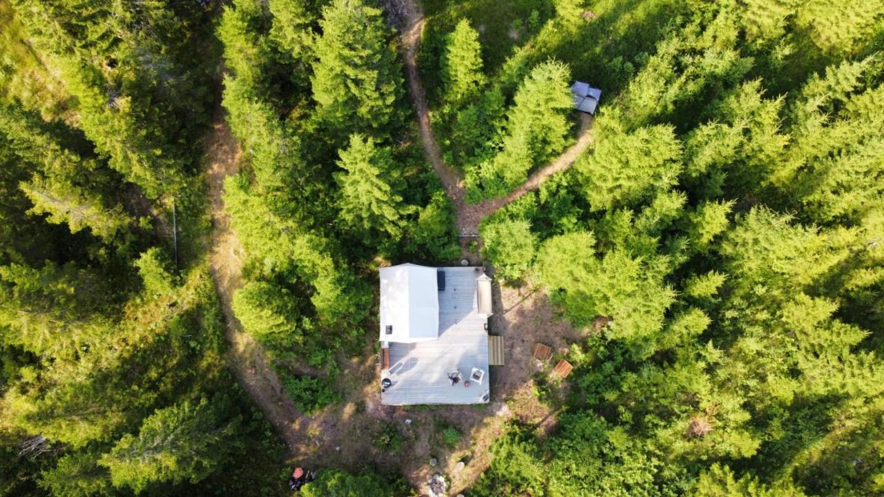 Glamping Tent With Amazing View In The Forest تورسبي المظهر الخارجي الصورة