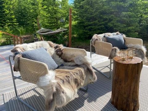 Glamping Tent With Amazing View In The Forest تورسبي المظهر الخارجي الصورة