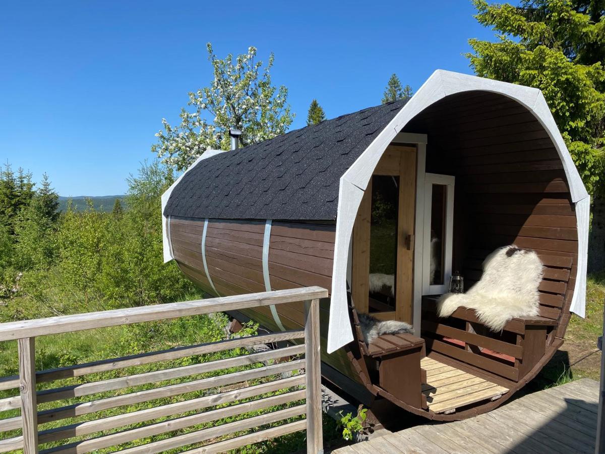 Glamping Tent With Amazing View In The Forest تورسبي المظهر الخارجي الصورة