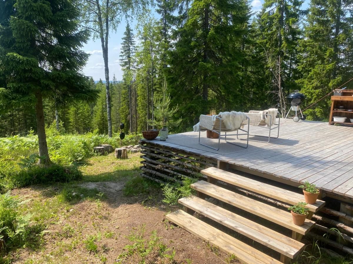 Glamping Tent With Amazing View In The Forest تورسبي المظهر الخارجي الصورة